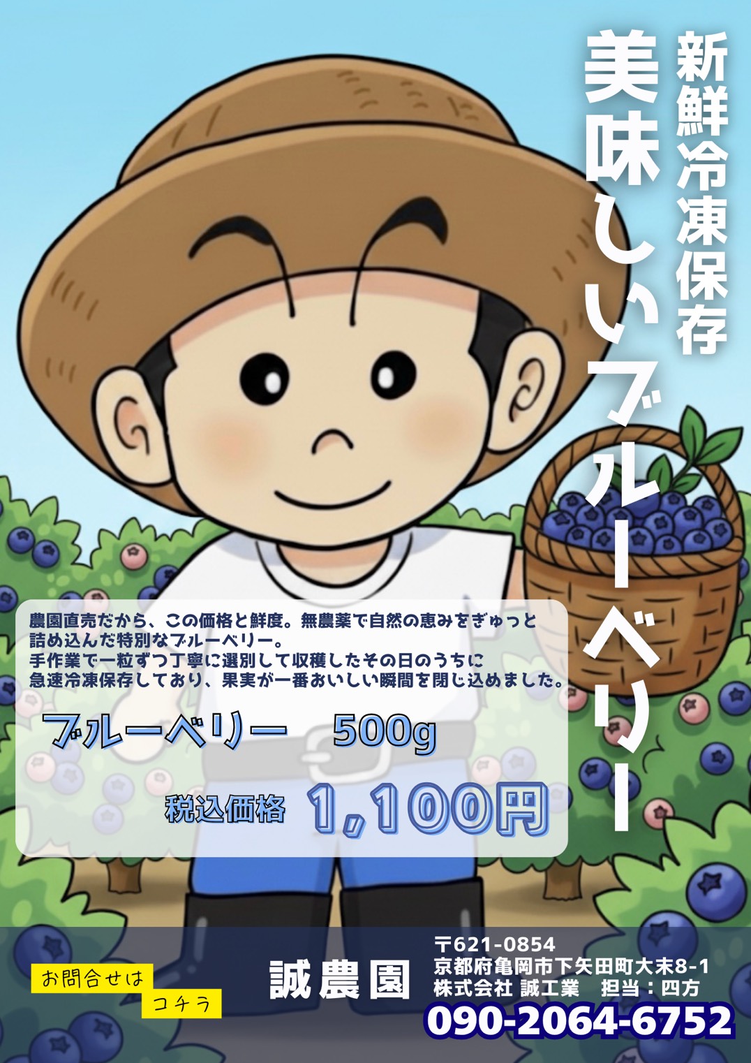 自家製冷凍ブルーベリー